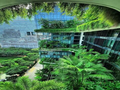 Contoh green building yang ramah lingkungan